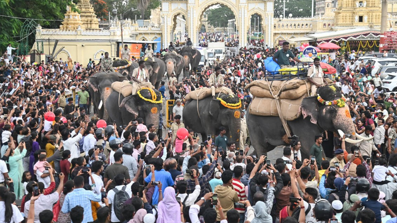 ಕಾಕನಕೋಟೆಯಲ್ಲಿ ಆಪರೇಷನ್ ʻಖೆಡ್ಡಾʼ - ಕಾಡಿನಿಂದ ಅರಮನೆಯ ಅಂಬಾರಿವರೆಗೆ; ದಸರಾ ಆನೆಗಳ ಇತಿಹಾಸವೇ ರೋಚಕ! 14 Mysuru Dasara