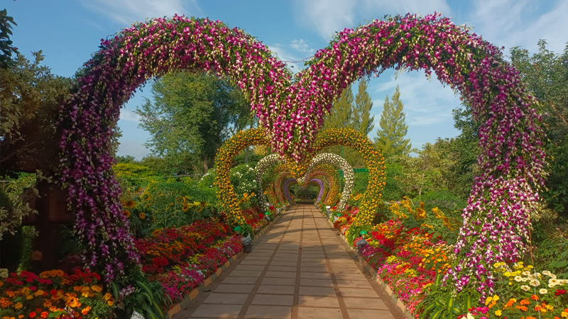 Mysuru Flower Show 03