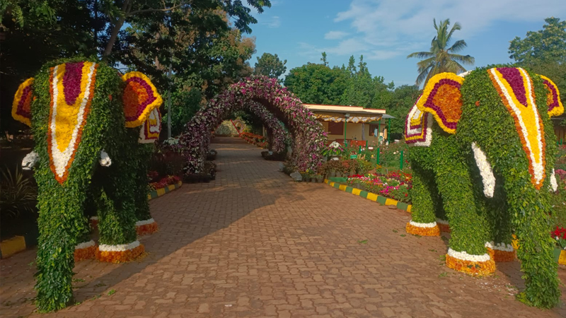 Mysuru Flower Show 04