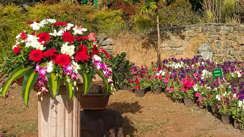 Mysuru Flower Show Lingambudhi Lake 3