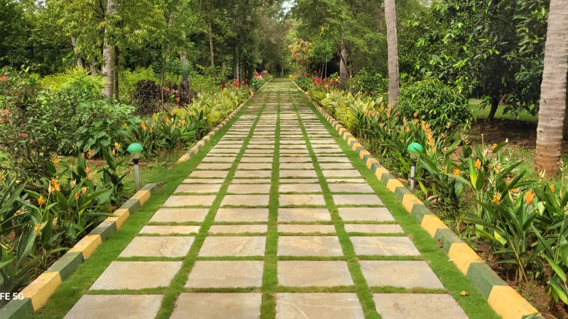 Mysuru Flower Show Lingambudhi Lake 6