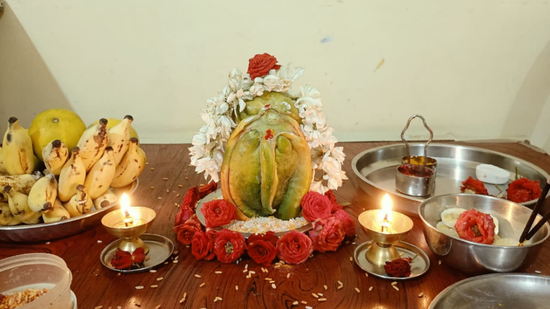 Papaya ganesh ballary vijayanagar