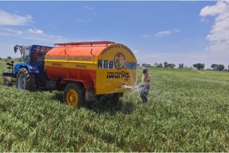 Ragi Crop