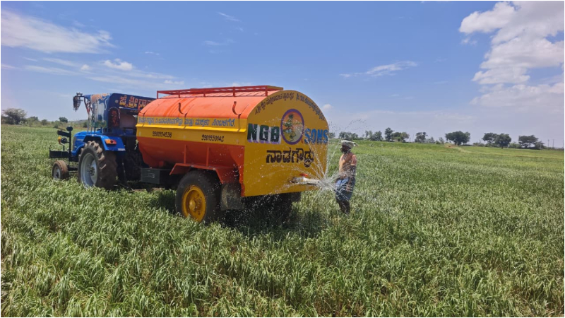 Ragi Crop