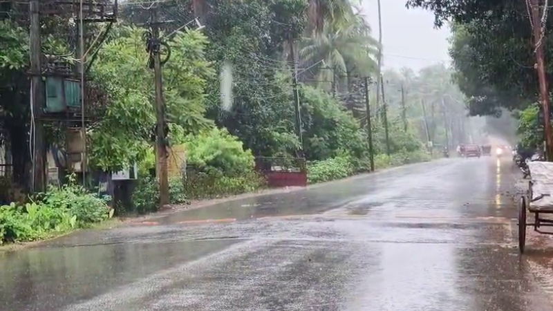 Rain 1