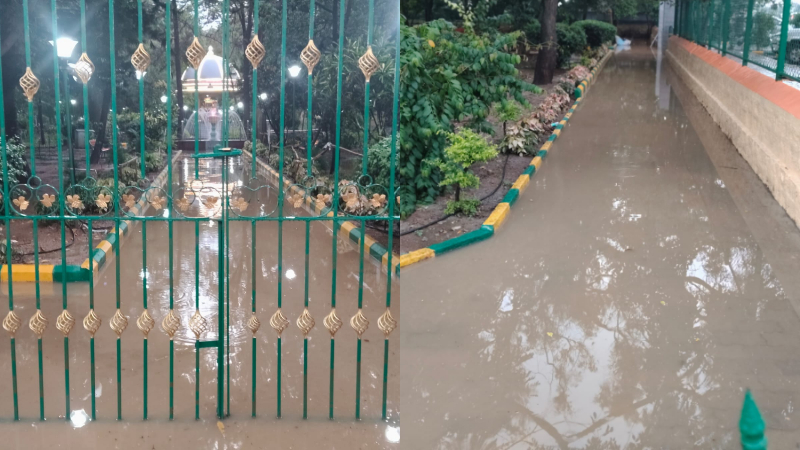 Rain Effect In Kolar Park