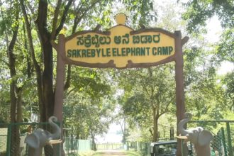 Sakrebyle Elephant Camp