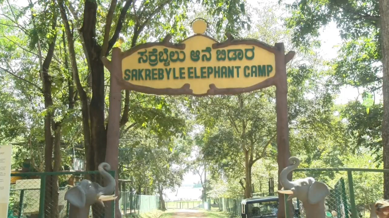 ರಾಜ್ಯ ಸರ್ಕಾರದ ಹೊಸ ಮಾರ್ಗಸೂಚಿ – ಸಕ್ರೆಬೈಲು ಆನೆ ಬಿಡಾರಕ್ಕೆ ಇನ್ಮುಂದೆ ಪ್ರತಿ ಬುಧವಾರ ರಜೆ