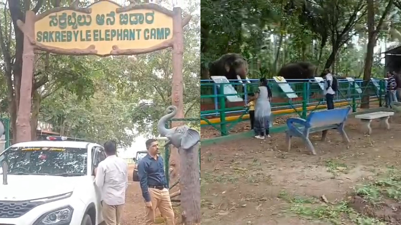 Sakrebyle Elephant Camp