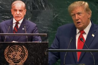 Shehbaz Sharif Trump