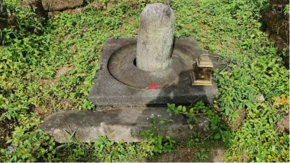 650 ವರ್ಷಗಳ ಹಿಂದಿನ ಶಿವಲಿಂಗ ಪತ್ತೆ; ಕಾಡುಪಾಲಾಗಿದ್ದ ಮಹದೇವ ದೇಗುಲ ಪುನರುಜ್ಜೀವನಕ್ಕೆ ಗ್ರಾಮಸ್ಥರ ಸಂಕಲ್ಪ