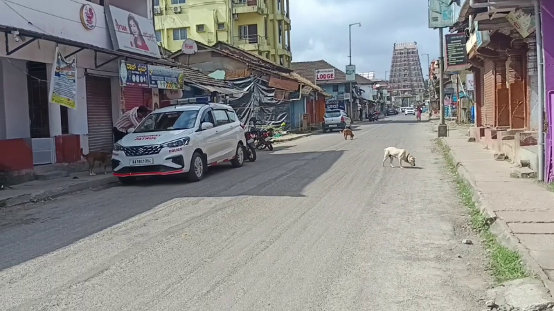 Sringeri Bandh