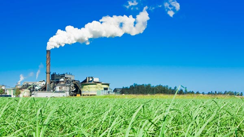 Sugar Mills