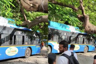 huge tree falls on bmtc bus near yelahanka