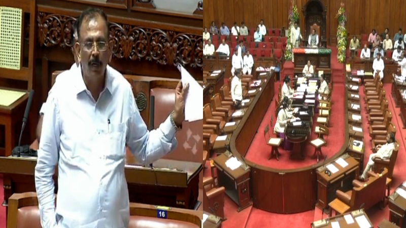 legislative council