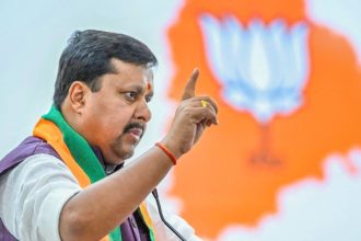 BJP Chief Nitin Nabin