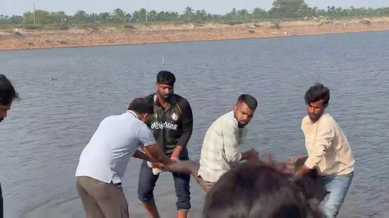 "ಕಾಲೇಜಿನಲ್ಲಿ ಗಣೇಶ ಕೂರಿಸಿದ್ದೀವಿ ಅಮ್ಮ" ಎಂದು ಹೋದವನು ಕೆರೆಯಲ್ಲಿ ಮುಳುಗಿ ಸಾವು 9 Bengaluru 20 Year Old College Student Drowns in Hesaraghatta Lake Harsha 2