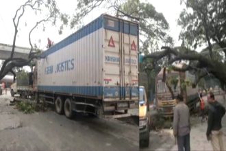 Bengaluru Rains Huge tree falls on lorry in Goraguntepalya