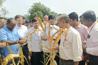 Central Drought Study Team Assesses Crop Loss in Bagalkote 2