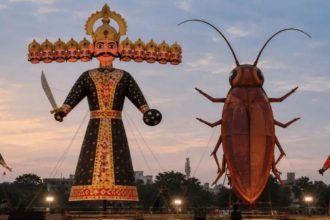 Cockroach Incineration In Delhi Ramlila