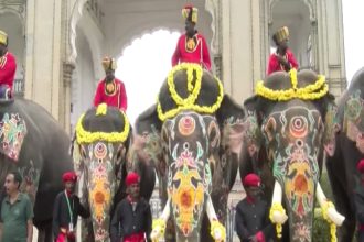 ಅಂಬಾರಿ ಹೊತ್ತ ಬೆನ್ನಿಗೆ ವಿದಾಯದ ಭಾರ - ಕಾಡಿನತ್ತ ಹೊರಟ ಗಜಪಡೆ 22 Dasara Elephants