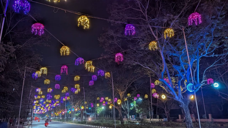 Dasara Lightings 1