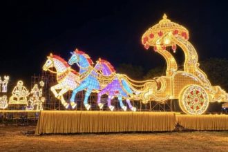 Dasara Lightings 3 1