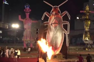 Delhi 30 Foot Tall Cockroach Effigy Set Ablaze Along with Ravana at Pitampura Ramlila