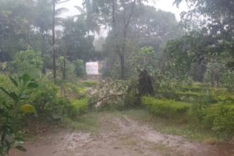 Madikeri Rain effect