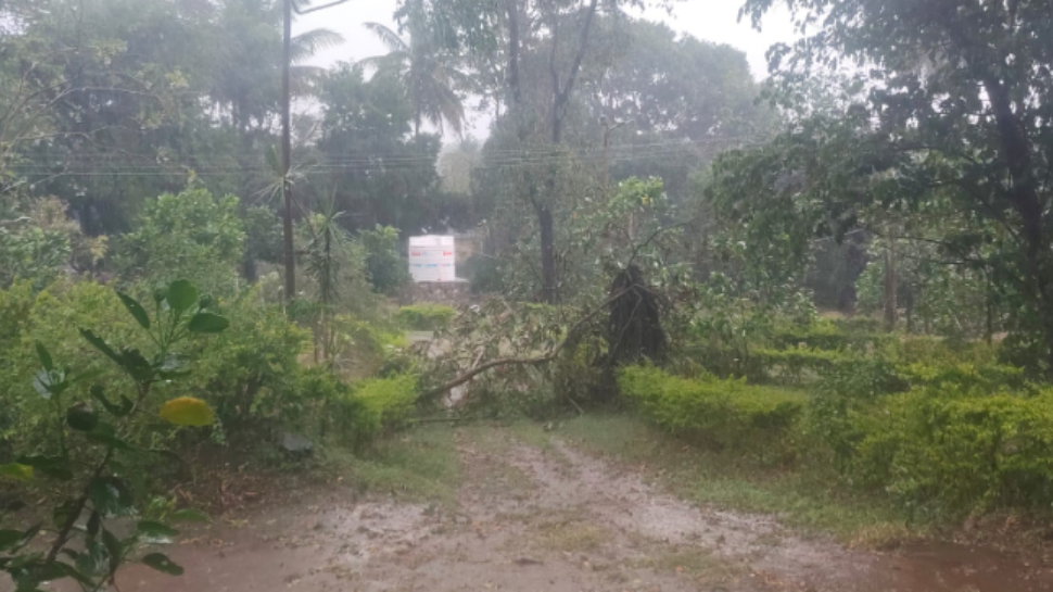 Madikeri Rain effect