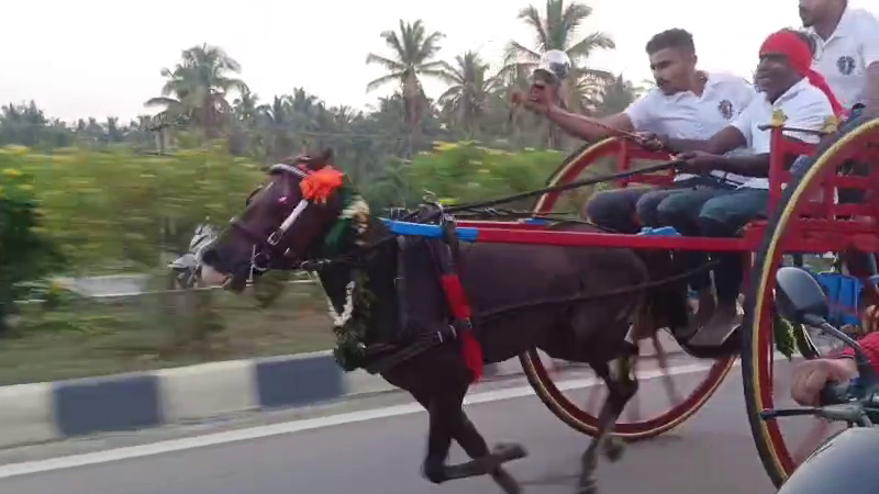 ಮಂಡ್ಯದ ರಾಷ್ಟ್ರೀಯ ಹೆದ್ದಾರಿಯಲ್ಲಿ ಕುದುರೆ ಗಾಡಿ ರೇಸ್ 11 Mandya Race 3