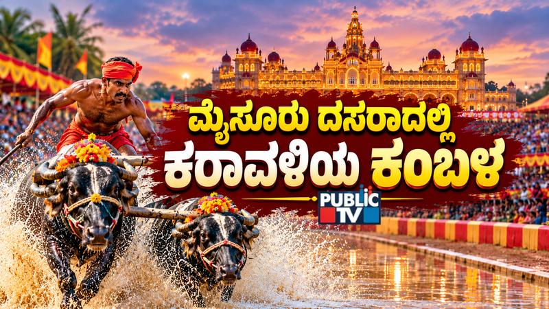 ಮೈಸೂರು ದಸರಾ ಅಂಗಳದಲ್ಲಿ ತಾಕತ್ತು ಪ್ರದರ್ಶಿಸಲು ಸಜ್ಜಾಗಿದೆ ಕರಾವಳಿಯ ಕಂಬಳ