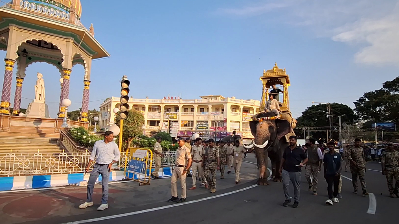 ಅಂಬಾರಿ ತೂಕ ತಡೆಯಲಾಗದೇ ತಾಲೀಮು ಅರ್ಧಕ್ಕೆ ಮೊಟಕು – ಬಹುತೇಕ ಕ್ಯಾಪ್ಟನ್ ರೇಸ್‌ನಿಂದ ಮಹೇಂದ್ರ ಔಟ್