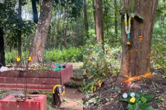 Mysuru Dasara Mahouts And Kavadigas Pooja For Forest Diety
