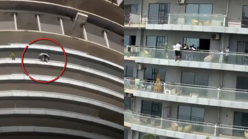 Noida | ಕಟ್ಟಡದ 43ನೇ ಮಹಡಿಯಿಂದ ಜಿಗಿದು ವ್ಯಕ್ತಿ ಆತ್ಮಹತ್ಯೆ