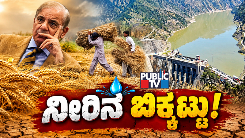 ಪಾಕಿಸ್ತಾನಕ್ಕೆ ನೀರಿನ ಬಿಕ್ಕಟ್ಟು – ಸಿಂಧೂ ಜಲ ಒಪ್ಪಂದ ವಿವಾದದ ನಡುವೆ ಗೋಧಿ ಬೆಳೆಗೂ ಸಂಕಷ್ಟ?