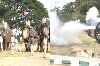 Rehearsal for the Dasara elephants with cannon Firing