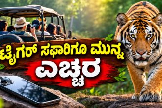 Tiger Safari