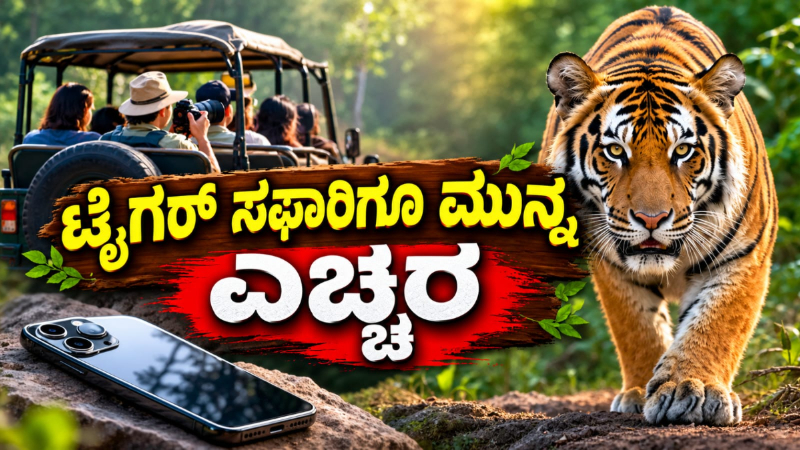 Tiger Safari