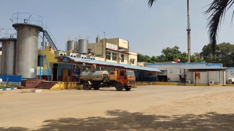 allegations of rs 16 5 crore corruption in cattle insurance at the rabakov milk union