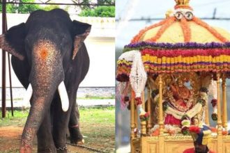 dhananjaya elephant mysuru dasara jamboo savari