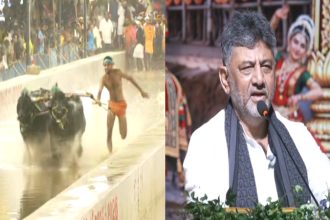 mysuru dasara kambala 1