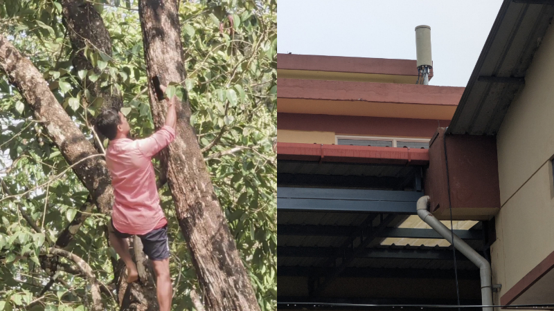 sirsi network 1