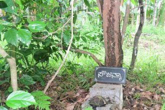 ಸೌಜನ್ಯ ಅತ್ಯಾಚಾರ & ಕೊಲೆ ಕೇಸ್; ತನಿಖೆ ನಡೆಸಿದ್ದ ಕೆಳಸ್ತರದ ಪೊಲೀಸರು, ಸಿಬ್ಬಂದಿಗೆ SIT ನೋಟಿಸ್ 7 soujanya case dharmasthala